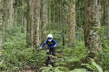 Erek Erek Bikepark